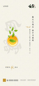 二十四节气白露海报