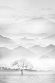 水墨画