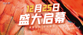 盛大启幕