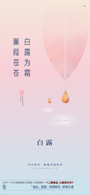 白露