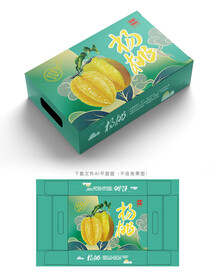 杨桃包装