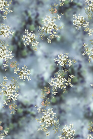 手绘花