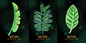 晶瓷画 抽象画 热带植物