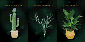 晶瓷画 抽象画 热带植物