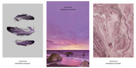 晶瓷画 抽象画 羽毛