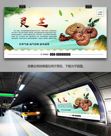 野生灵芝灯箱海报展板展架挂画图