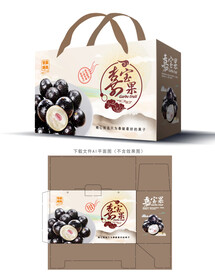 嘉宝果包装