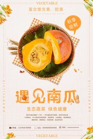 南瓜