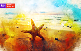 海星