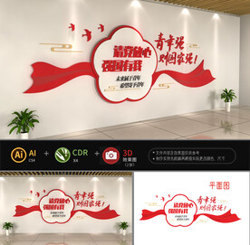 请党放心强国有我文化墙