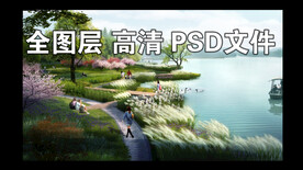 河边芦苇荡