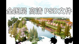 河道湿地水杉