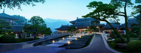 古建黑松