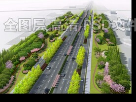 道路组团绿化