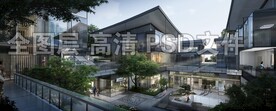 现代商业绿化