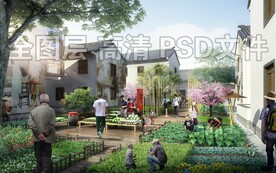 菜地市场田地