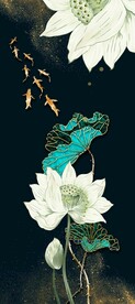 荷花鱼