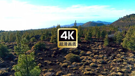 航拍山间密林公路