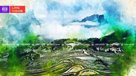 梯田