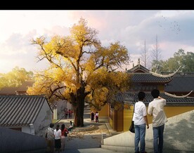 古树大树