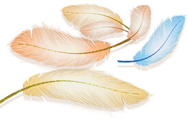 装饰画 晶瓷画 羽毛