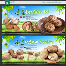 香菇