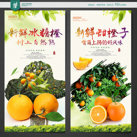 脐橙