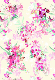 蝴蝶花