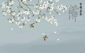 室雅兰香
