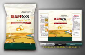 玉米种子(展开图)