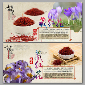 藏红花展板