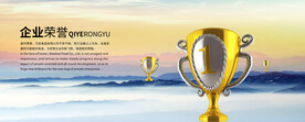 企业荣誉