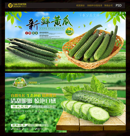 黄瓜
