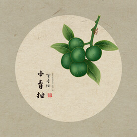 小青柑