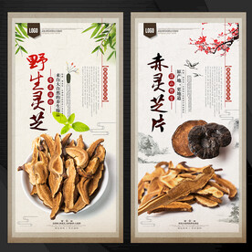 灵芝