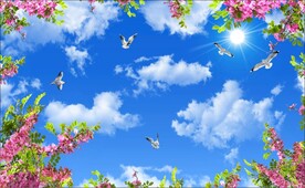 蓝天白云鸽子鲜花