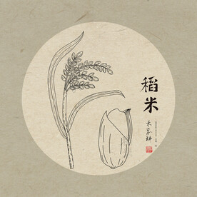稻谷