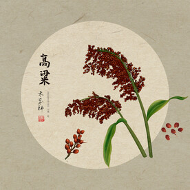 手绘高粱