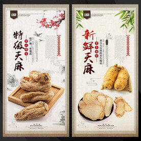 天麻