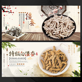 僵蚕