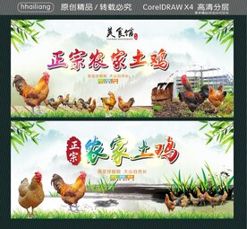 正宗农家土鸡