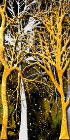 轻奢树林中式玄关装饰画