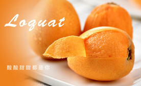 枇杷