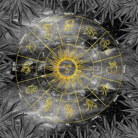 中式十二生肖天顶装饰画