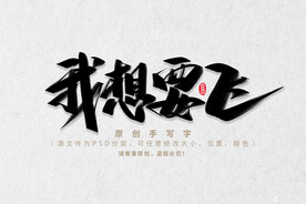 我想要飞