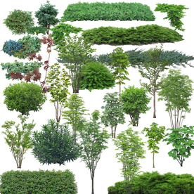 植物后期素材