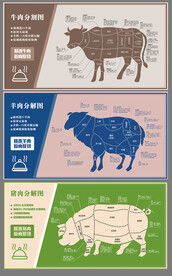 牛羊猪肉类分解图展板