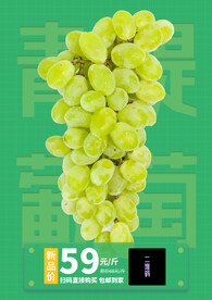 青提葡萄
