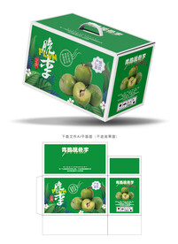 脱骨脆李包装 