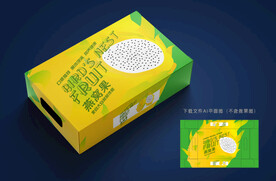 燕窝果包装 